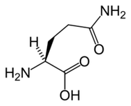 L-Glutamine dalam Keto Diet